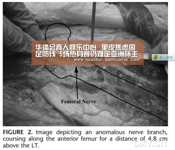 华体会真人娱乐中心-里皮焦虑国足防线 5场热身赛仍难定亚洲杯主力(图2) 华体会在线娱乐