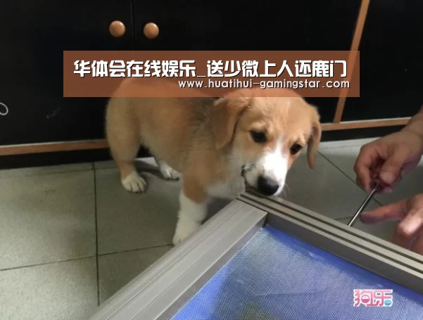 华体会在线娱乐_送少微上人还鹿门(图2) 华体会电子游艺
